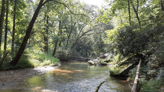 Conservancy acquires 182 acres of land