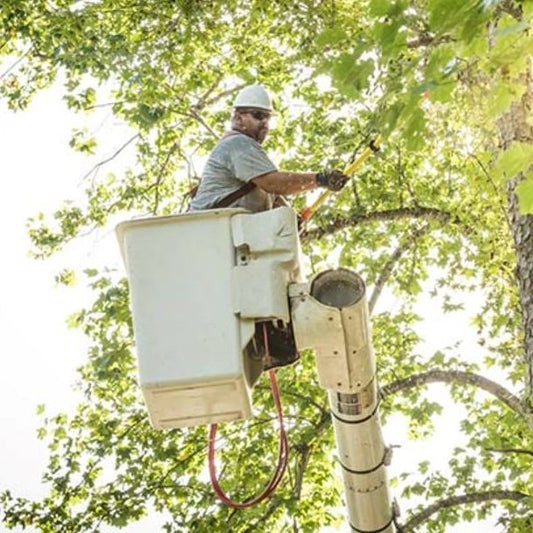 Duke energy to clean up around Lenoir