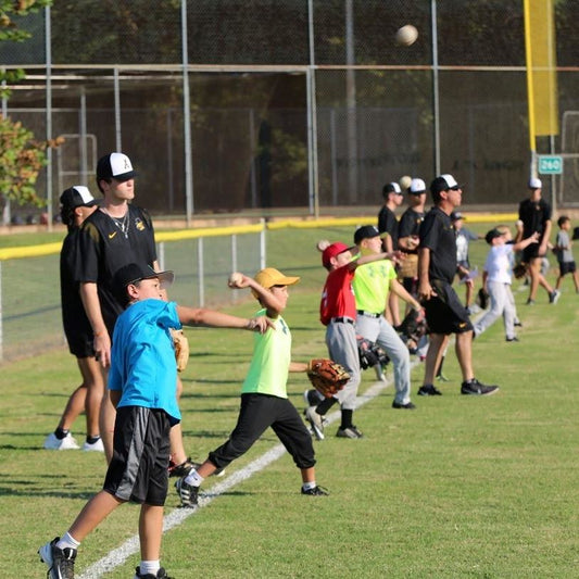 City of Lenoir youth baseball and softball registration ends Friday